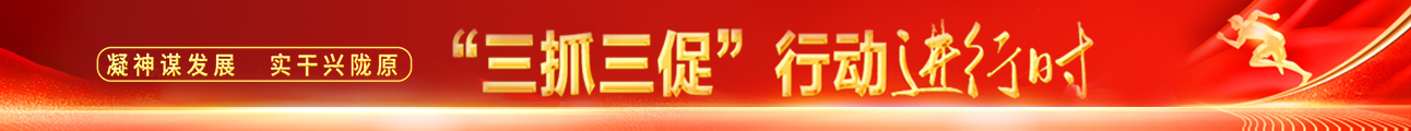 “三抓三促”行动进行时